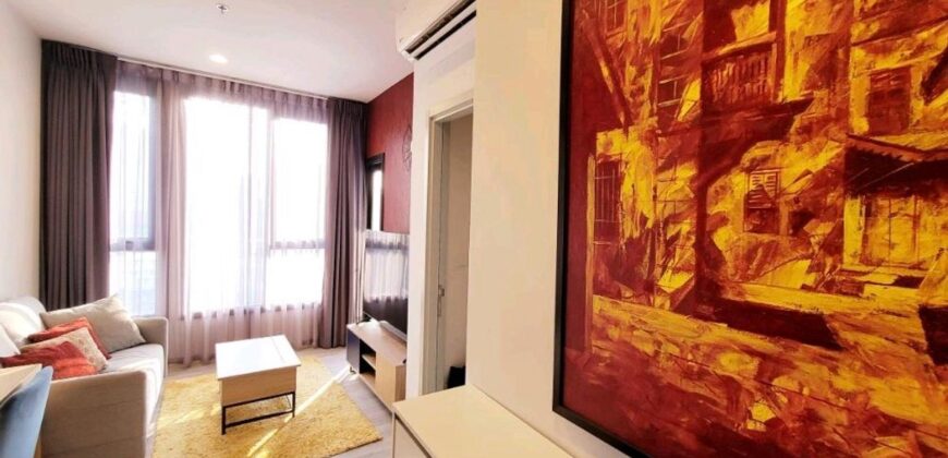 (𝐅𝐨𝐫 𝐑𝐞𝐧𝐭/Sale) XT Ekkamai 🏠 เอ็กซ์ที เอกมัย  🚝 BTS Ekkamai เอกมัย