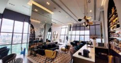 (𝐅𝐨𝐫 𝐑𝐞𝐧𝐭/Sale) XT Ekkamai 🏠 เอ็กซ์ที เอกมัย  🚝 BTS Ekkamai เอกมัย