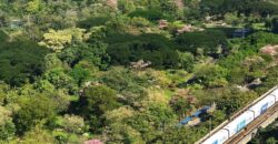 (𝐅𝐨𝐫 𝐑𝐞𝐧𝐭) The Line Jatujak-Mochit 🏠 เดอะ ไลน์ จตุจักร-หมอชิต  🚝 BTS จตุจักร & Chatuchak Park