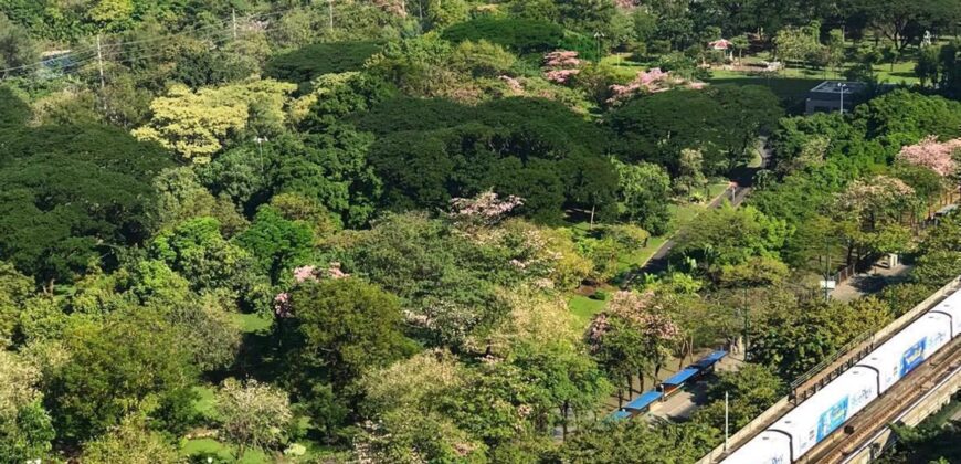 (𝐅𝐨𝐫 𝐑𝐞𝐧𝐭) The Line Jatujak-Mochit 🏠 เดอะ ไลน์ จตุจักร-หมอชิต  🚝 BTS จตุจักร & Chatuchak Park